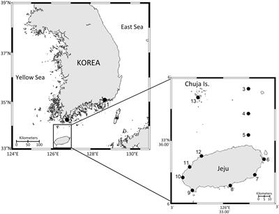 Drifting marine plastics as new ecological habitats for harmful eukaryotic microbial communities in Jeju Strait, Korea